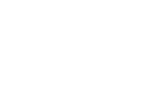 Dbt